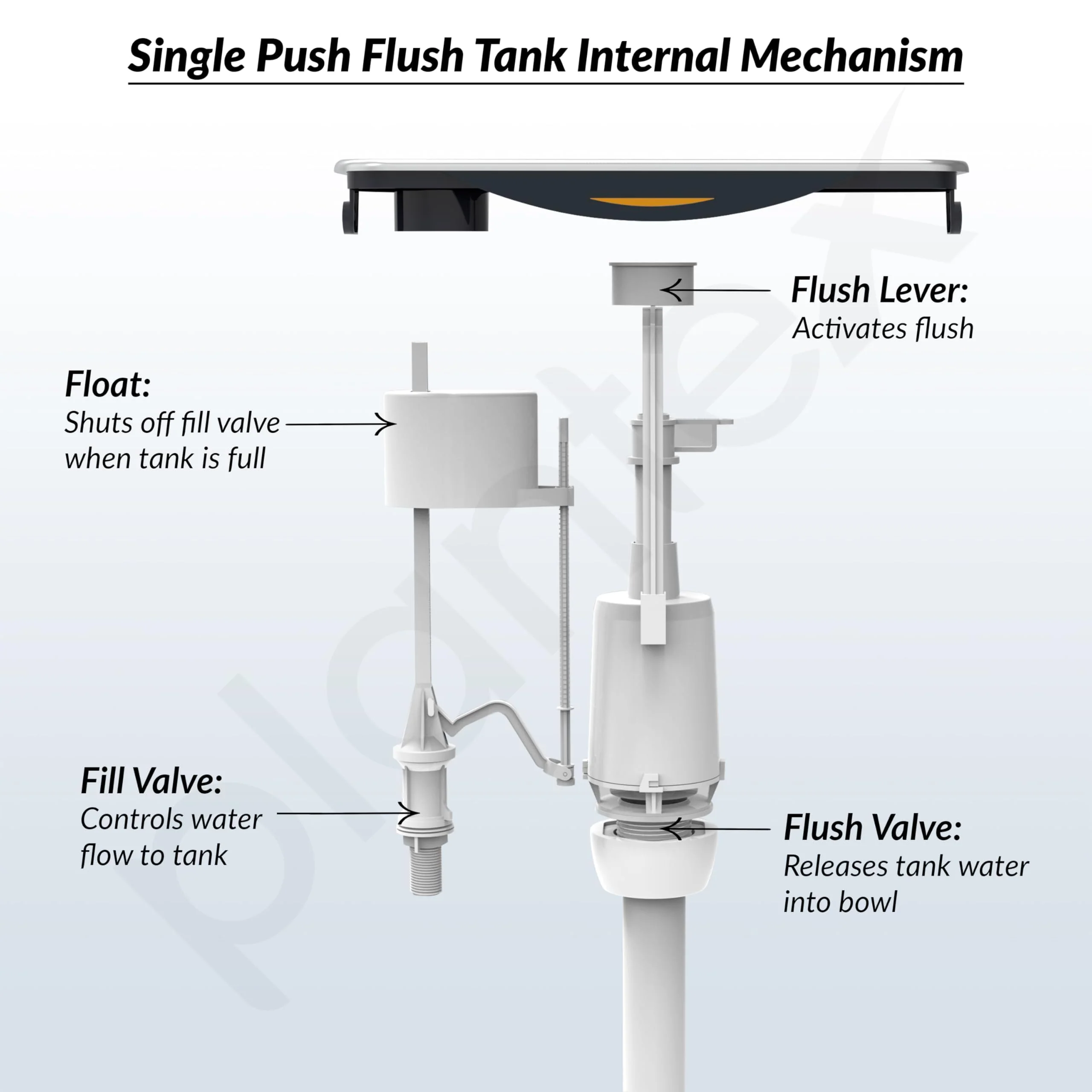 Plantex Flush Tank for Toilet with 10 Ltr Water Capacity/Single Flushing Cistern for Bathroom/Polypropylene Toilet Flush Tank - Pack of 1 (Boss, Navy Blue & White) - Image 5